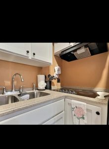 Beautiful City Flat - Madison 3 (14)