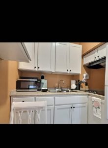 Beautiful City Flat - Madison 3 (19)