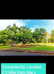 Beautiful City Flat - Madison 3 (4)