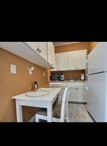 Beautiful City Flat - Madison 321