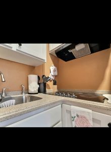 Beautiful City Flat - Madison 322