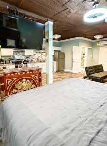 Modern Luxury Flat - Highland Ave Flat C (7)