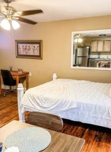 Teal House Flat 2 - modern convenience in Mid-town (23)