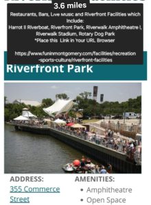 Teal House Flat 2 - modern convenience in Mid-town (8)