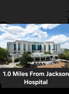 Teal House Flat 2 - modern convenience in Mid-town (9)